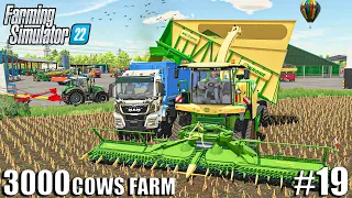 Harvesting 700.000l of CORN SILAGE 🌽 | 3000 COWS Farm | Farming Simulator 22 | Episode 19