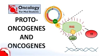 7. Proto-oncogenes and Oncogenes