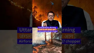 Forest Fire In Uttarakhand Spreads To Nainital, Army Deployed. #currentaffairs #shortfeed