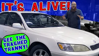 Lexus ES300 Mrs. Wizard bought for $1K is alive! Tranny was an absolute disaster. You have to see it