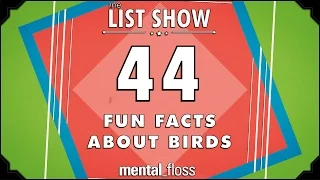 44 Fun Facts about Birds  - mental_floss List Show Ep. 440