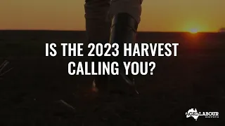 New year, new jobs: join Agri Labour Australia on the harvest trail