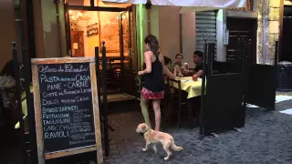 Traveling to Rome, Italy with your dog