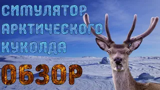 Обзор-разбор ArcticBoy: The Interactive Story