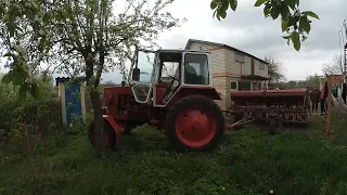 Догляд та годівля корів, закінчуємо посівну (Ручна сівалка чи Трактор ЮМЗ-6, СЗ 3.6)