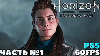 ✅(PS5) Horizon Forbidden West(Запретный Запад) - Прохождение. Часть №1.