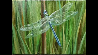 Cтрекоза Dragonfly Vugar Mamedov