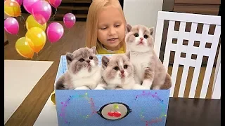 КОТЯТА в КОРОБКЕ у Алисы !!! Мими Лисса видео для детей !