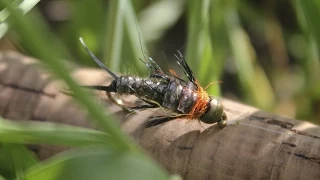 Rowley Stone - #1 Stonefly Pattern - Fly Tying Video