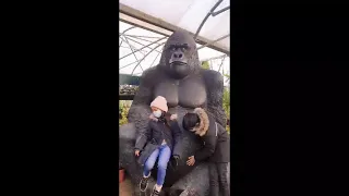 Kids Outdoor Activities || Kids activity With Gorilla || Fun With Gorilla  #Shorts 🦧