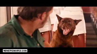 RED DOG (2011) Official Trailer   HD Version