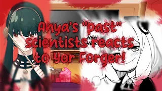 Anya's "Past" Scientists reacts to Yor Forger //SpyxFamily ||MY AU||