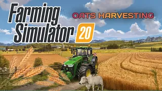 Harvesting Oats | Farming Simulator 20 Gameplay |Oats harvesting