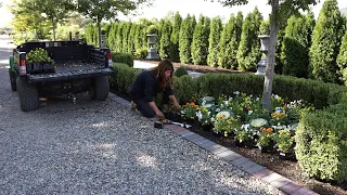 Fall Flowers & Pumpkins in the West Side Formal Garden! 🎃🧡🌼 // Garden Answer