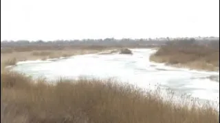 В Акмолинской области спрогнозировали пик паводка