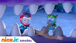 PAW Patrol | ¡La Patrulla Marina rescata a una ballena! | Nick Jr. en Español