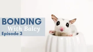 Bonding with Balcy - episode 3