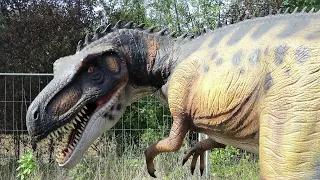 Les Dinosaures du Château de Selles-sur-Cher