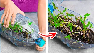 Incredible Plant Growing Hacks And Gardening Tips