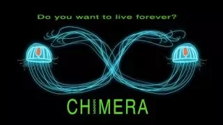 Chimera  Trailer