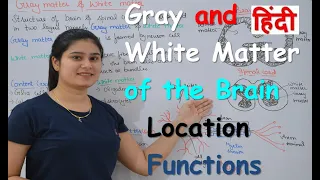 Gray matter & White Matter of Brain in Hindi | Functions | Location | #RajNEET_Medical_Education
