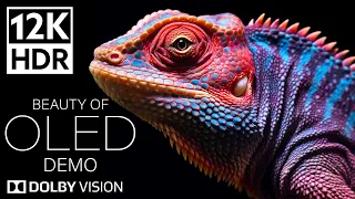 EXTREME COLORS of Dolby Vision | 12K HDR 240fps