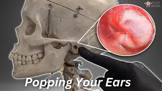 What Happens When We Pop Our Ears