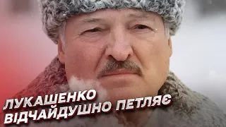 Лукашенко відчайдушно петляє: чи вступить армія Білорусі у війну  | Андрій Піонтковський
