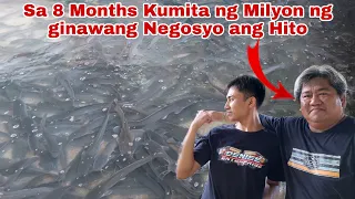 Hobby lang noon ngayon Kumikita ng Milyon ng ginawang Negosyo ang Hito Farming