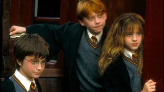 meet the Harry Potter cast // no roots // lovely loony