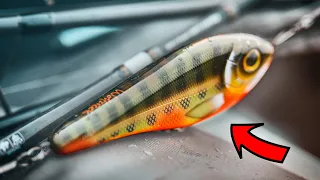 Season Opening For Pike - Pike Fishing In Denmark 2021 (with tackle news!)
