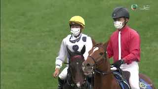 2020 香港一哩錦標 Hong Kong Mile 香港マイル (G1) 金鎗六十 GOLDEN SIXTY ゴールデンシックスティ 何澤堯