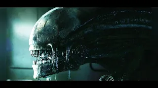 New Alien Movie 'Romulus' Begins Production in Hungary