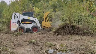 Defrisare si curatare teren in Bucuresti