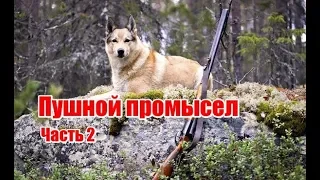 Пушной промысел | Часть 2