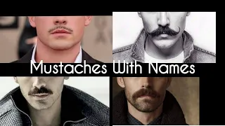 Types of Mustache with their names || Stylin' Net