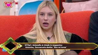 GFVip7, Antonella si chiude in magazzino  Antonino, Donnamaria sbotta: 'Non mi torna'