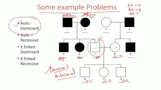 Pedigree Analysis methods - dominant, recessive and x linked pedigree