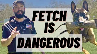 FETCH IS DANGEROUS!! MUCH SAFER ALTERNATIVE EXPLAINED! PT.2 BELGIAN MALINOIS TRAINING