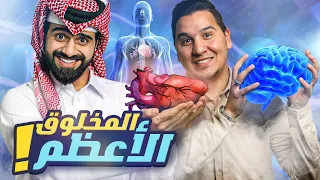 تحدي المعلومات - الإنسان 🧠🔥