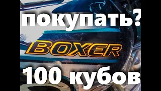 Мнение курьеров Баджаж Боксер 100 Bajaj Boxer BM 100