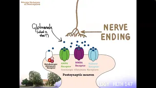 Muscle Physiology, Lecture 18: Molecular Mechanisms of Nociception