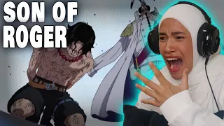 ACE'S FATHER REVEALED! MARINEFORD ARC BEGINS! 🔴 One Piece Episode 459 Reaction