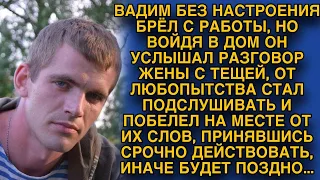 Подслушал разговор жены с тёщей и бросился действовать пока не поздно...