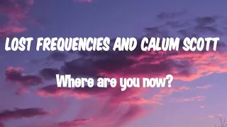 Lost frequencies and Calum Scott - where are you now (lyrics )