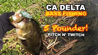 How to Fish a Frog Like Me | CA Delta Bass Fishing