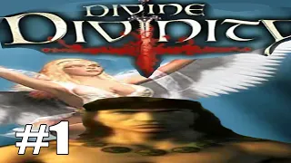 Полное Прохождение Divine Divinity(No Commentary) #1