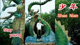 少年 Shao Nian - Meng Ran Chinese Mandarin song lyrics pingyin Taiki Ciro Moeri translate English Indo