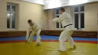 Aikido and Capoeira