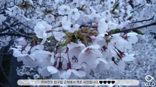 수수께씨의 정답을 알려드려요.♥♥♥